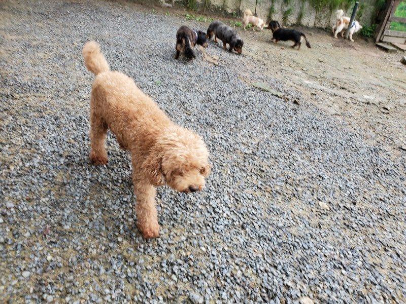 f:id:roukenhome-ann:20190831075431j:plain
