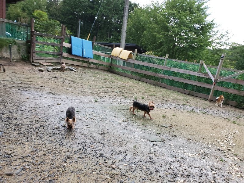 f:id:roukenhome-ann:20190831075445j:plain