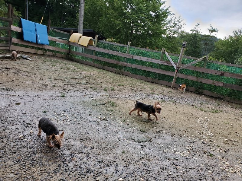 f:id:roukenhome-ann:20190831075455j:plain