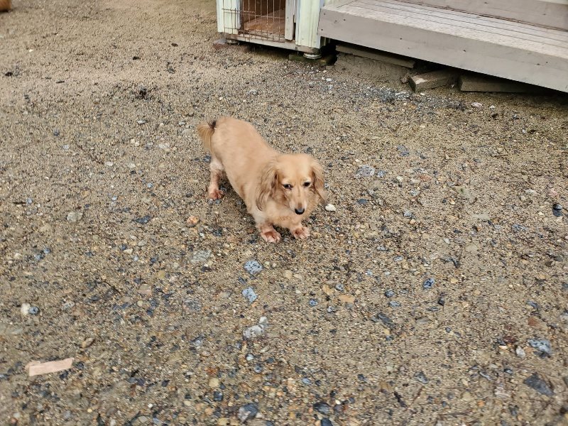 f:id:roukenhome-ann:20190831075502j:plain