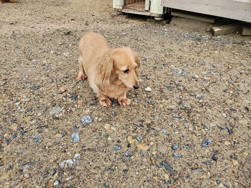 f:id:roukenhome-ann:20190831075509j:plain