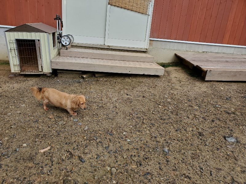 f:id:roukenhome-ann:20190831075514j:plain