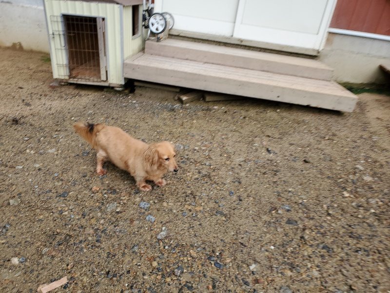f:id:roukenhome-ann:20190831075521j:plain