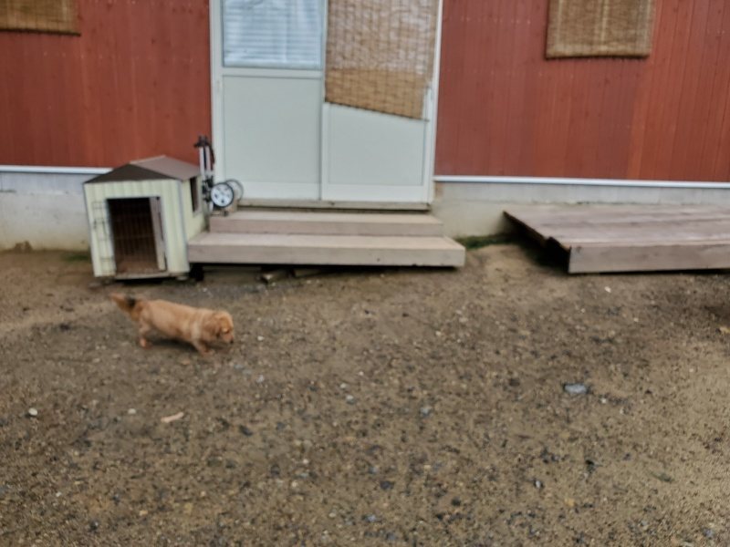 f:id:roukenhome-ann:20190831075534j:plain