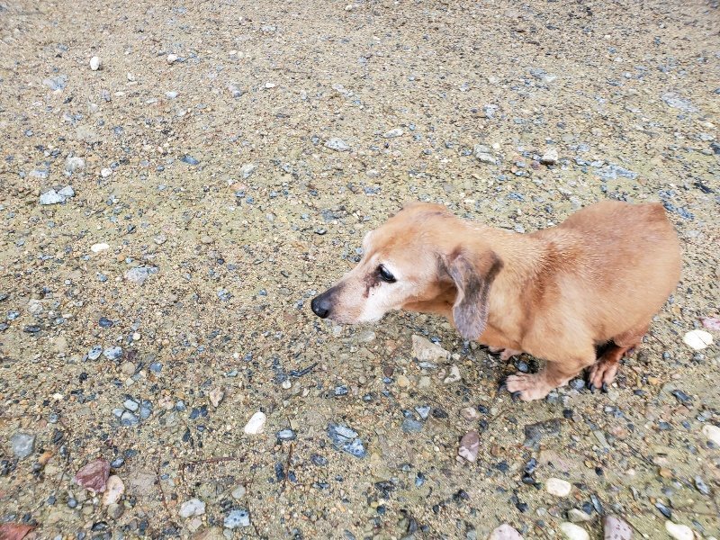 f:id:roukenhome-ann:20190831075541j:plain
