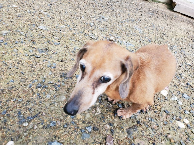 f:id:roukenhome-ann:20190831075550j:plain