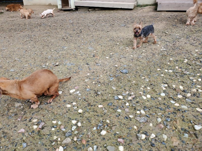 f:id:roukenhome-ann:20190831075557j:plain