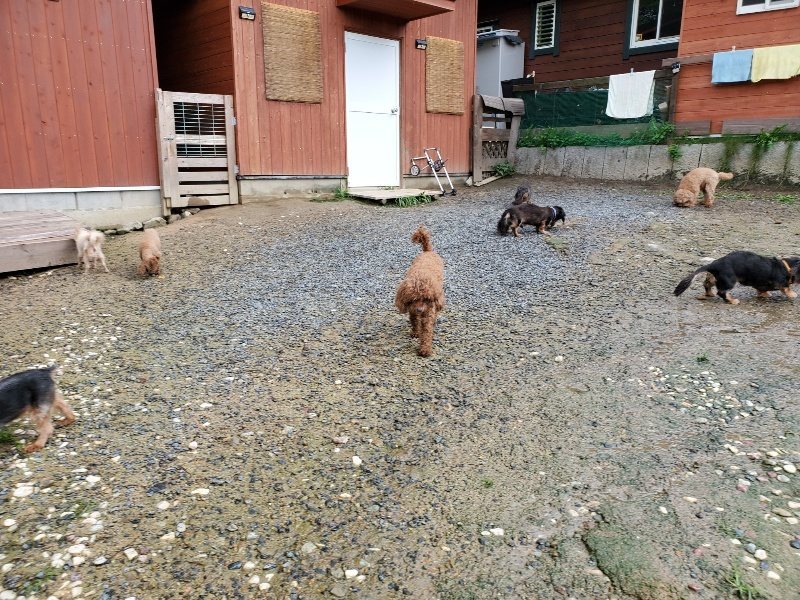 f:id:roukenhome-ann:20190831075606j:plain