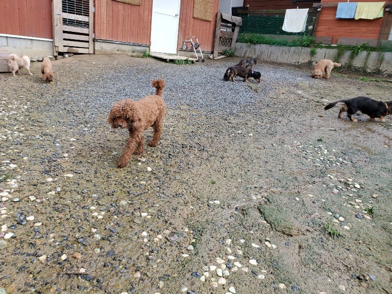 f:id:roukenhome-ann:20190831075612j:plain