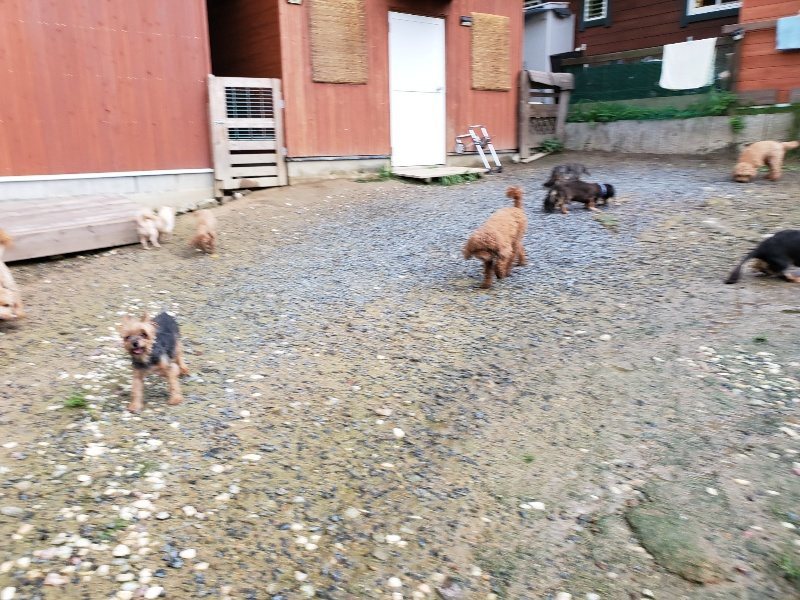f:id:roukenhome-ann:20190831075619j:plain
