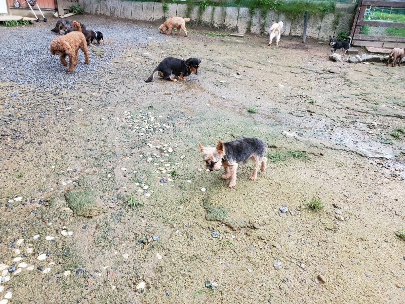 f:id:roukenhome-ann:20190831075624j:plain