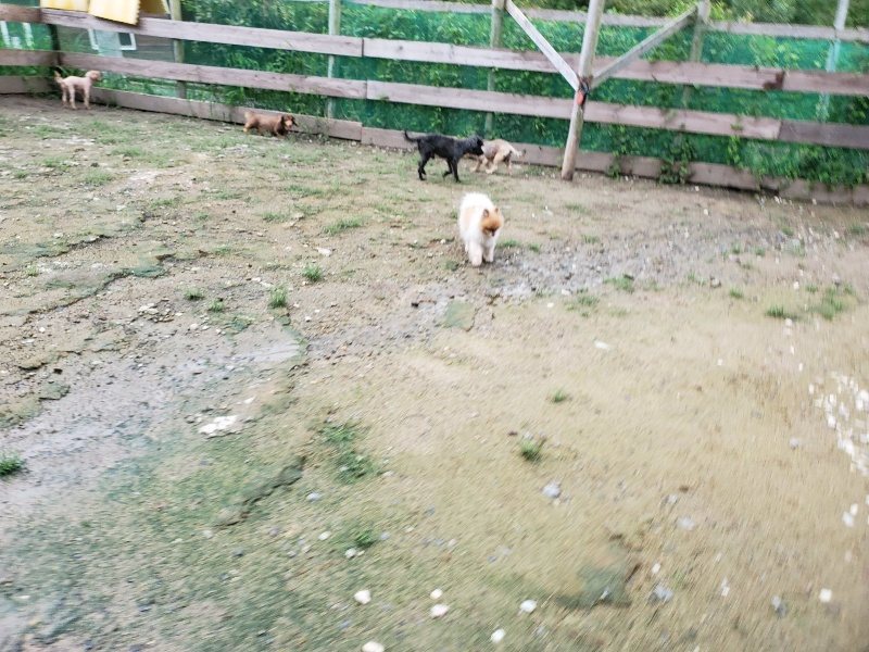f:id:roukenhome-ann:20190831075631j:plain