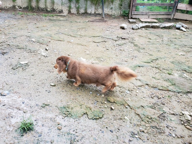 f:id:roukenhome-ann:20190831075735j:plain