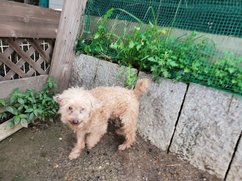 f:id:roukenhome-ann:20190831075744j:plain