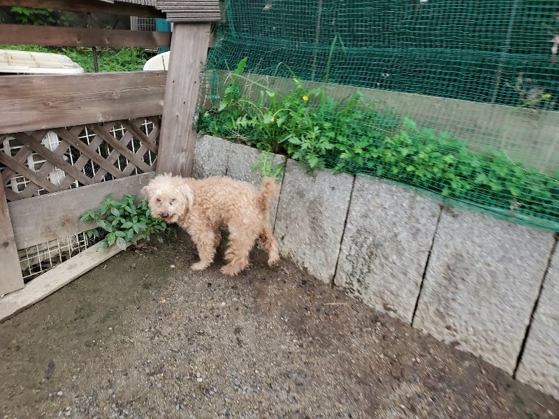 f:id:roukenhome-ann:20190831075751j:plain