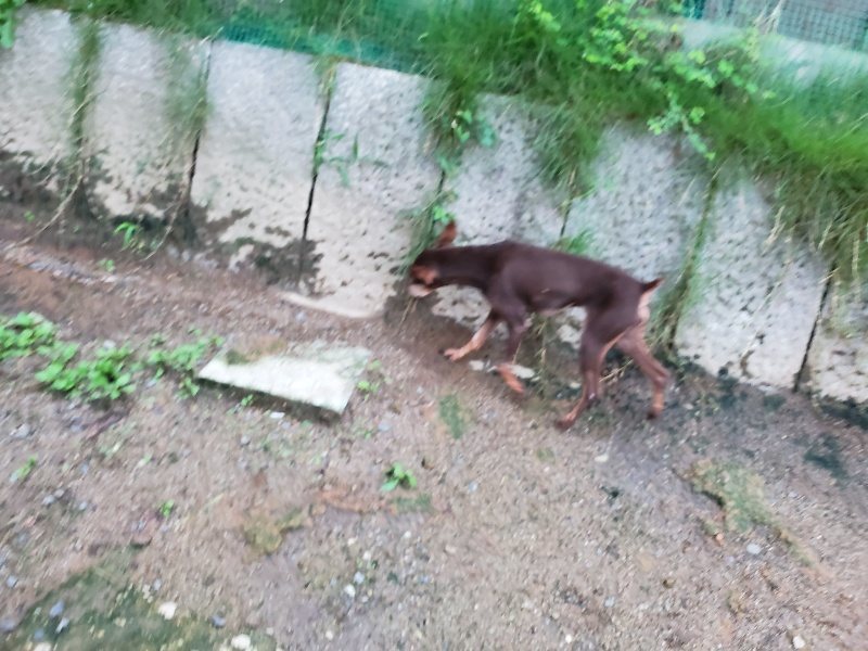 f:id:roukenhome-ann:20190831075805j:plain