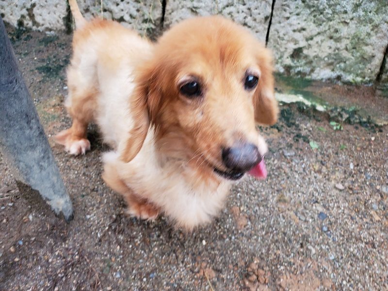 f:id:roukenhome-ann:20190831075811j:plain