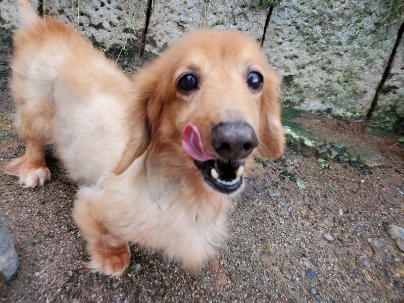f:id:roukenhome-ann:20190831075816j:plain
