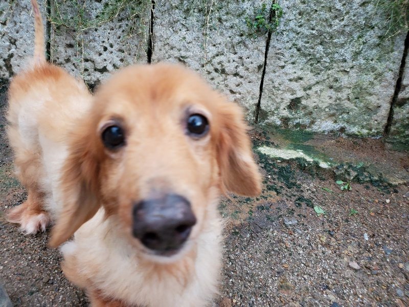 f:id:roukenhome-ann:20190831075822j:plain