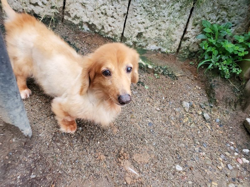 f:id:roukenhome-ann:20190831075828j:plain