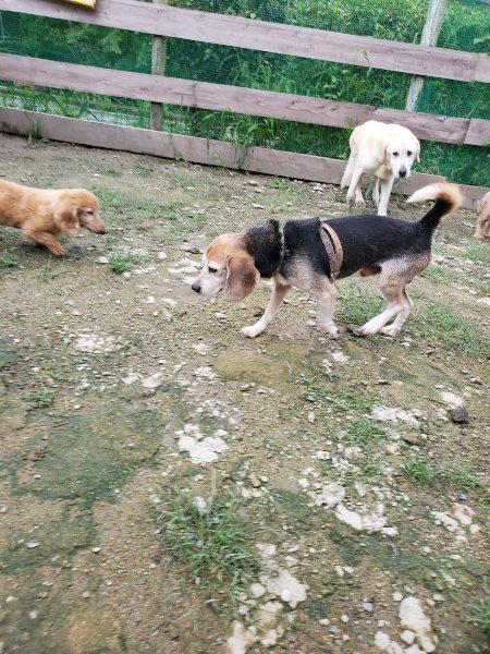 f:id:roukenhome-ann:20190831075848j:plain