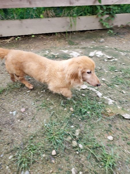 f:id:roukenhome-ann:20190831075853j:plain