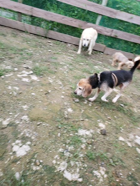 f:id:roukenhome-ann:20190831075858j:plain