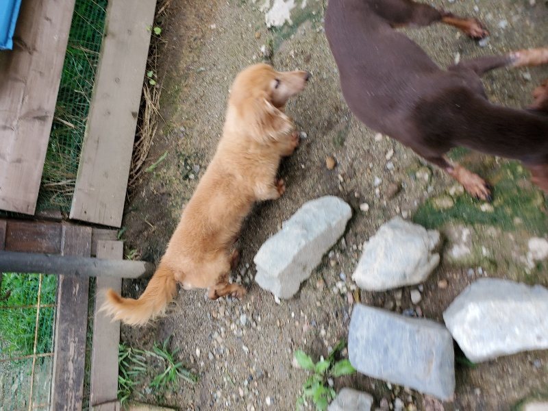 f:id:roukenhome-ann:20190831075907j:plain