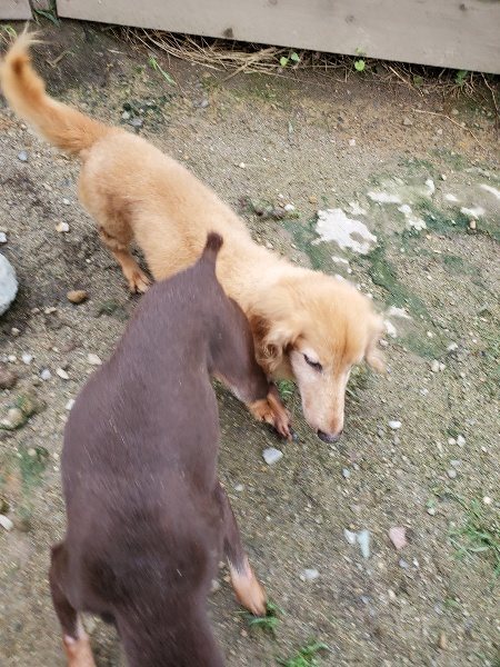 f:id:roukenhome-ann:20190831075911j:plain