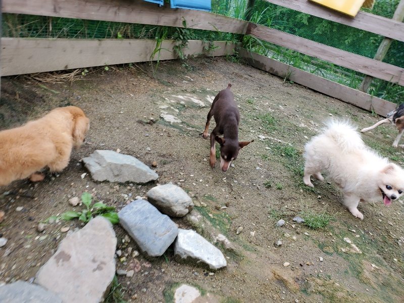 f:id:roukenhome-ann:20190831075917j:plain
