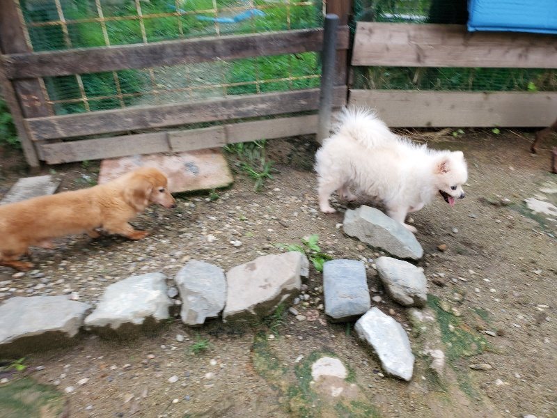 f:id:roukenhome-ann:20190831075929j:plain