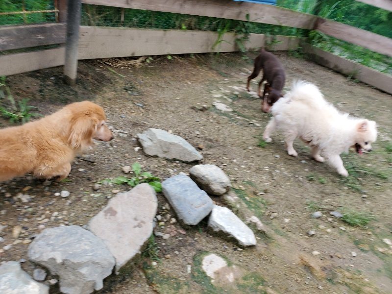 f:id:roukenhome-ann:20190831075935j:plain