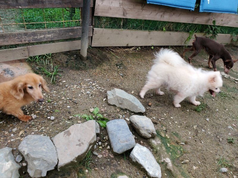 f:id:roukenhome-ann:20190831075942j:plain