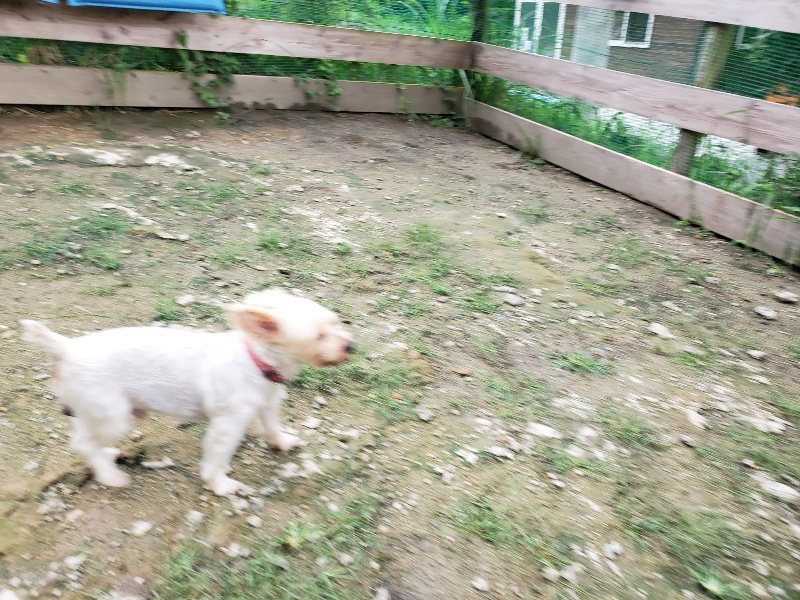 f:id:roukenhome-ann:20190831075949j:plain