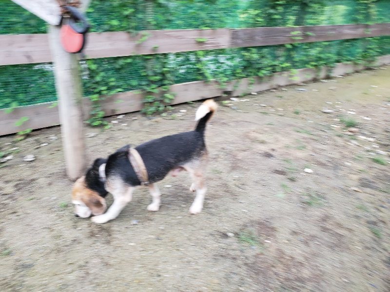f:id:roukenhome-ann:20190831080011j:plain