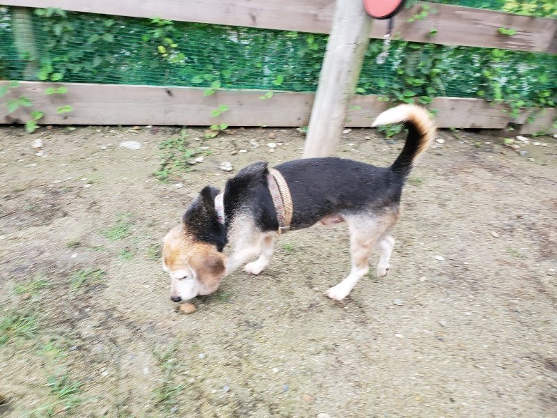 f:id:roukenhome-ann:20190831080019j:plain