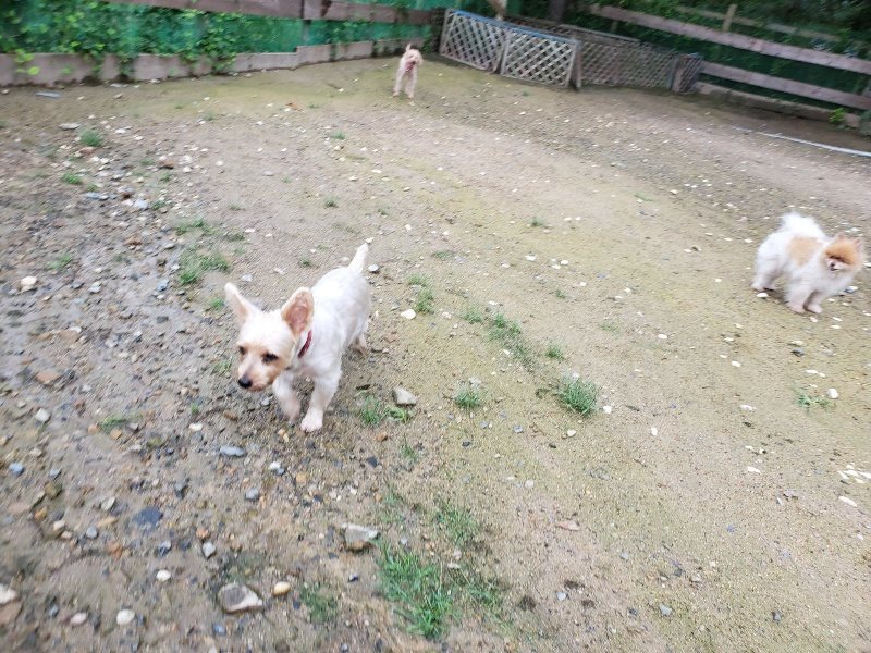 f:id:roukenhome-ann:20190831080046j:plain