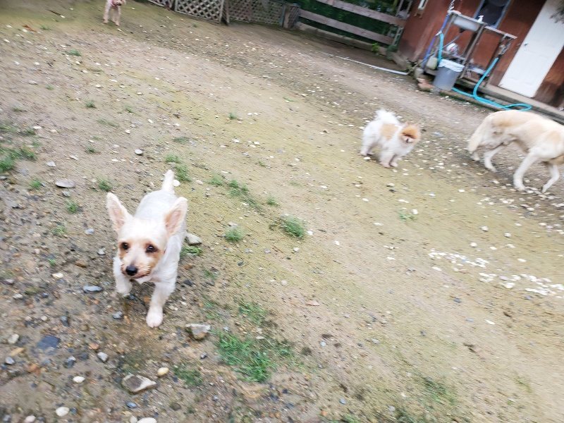 f:id:roukenhome-ann:20190831080051j:plain