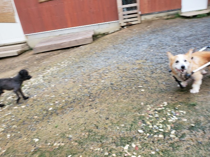 f:id:roukenhome-ann:20190831080055j:plain