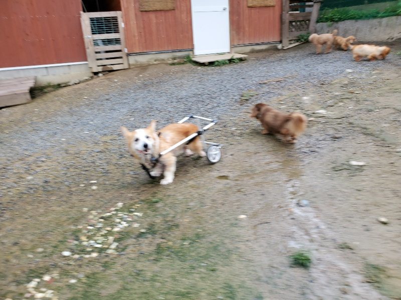 f:id:roukenhome-ann:20190831080100j:plain