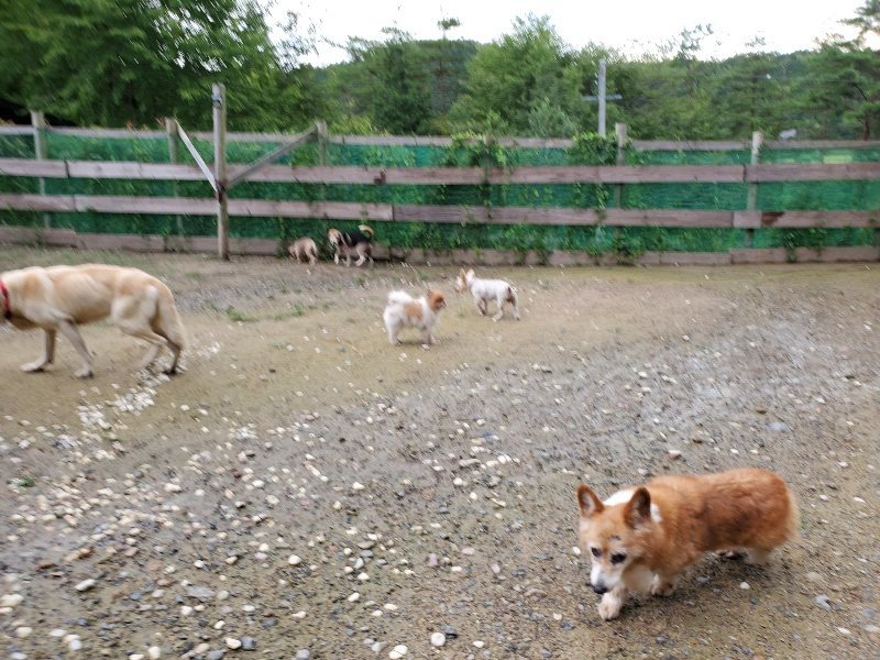 f:id:roukenhome-ann:20190831080407j:plain
