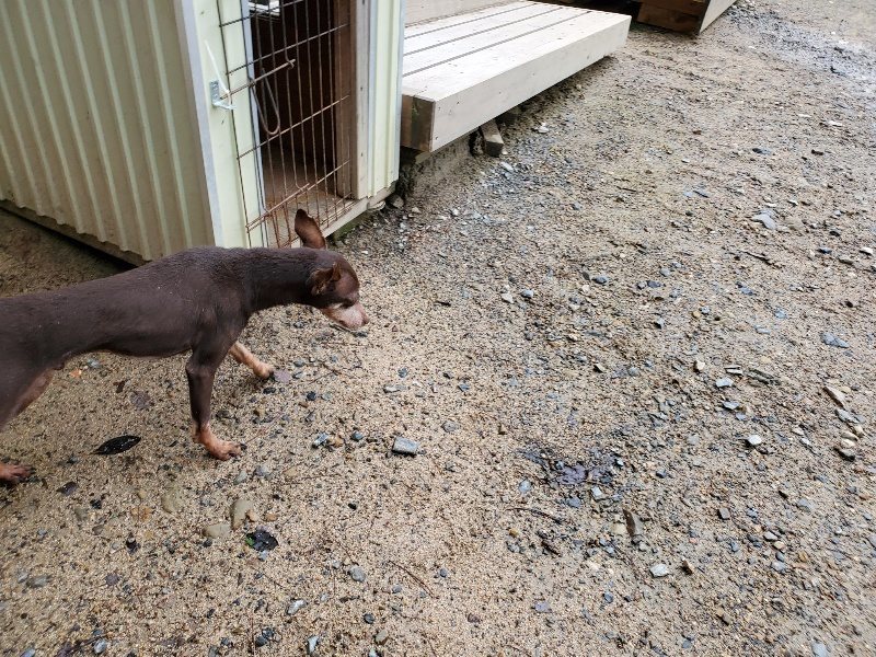 f:id:roukenhome-ann:20190831080422j:plain