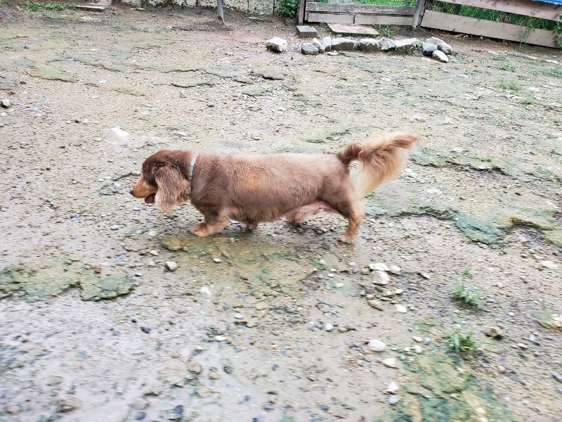 f:id:roukenhome-ann:20190831080433j:plain