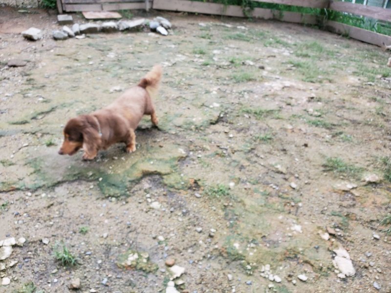 f:id:roukenhome-ann:20190831080440j:plain