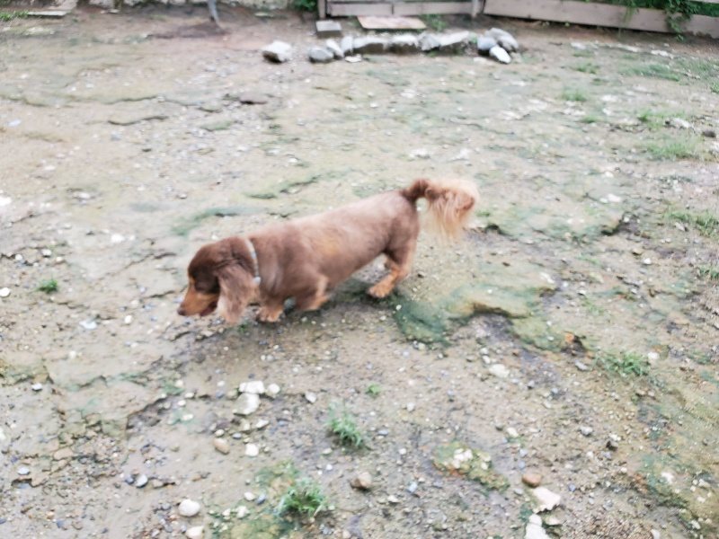 f:id:roukenhome-ann:20190831080454j:plain