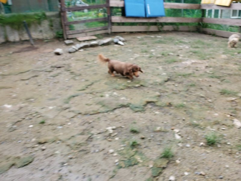 f:id:roukenhome-ann:20190831080459j:plain