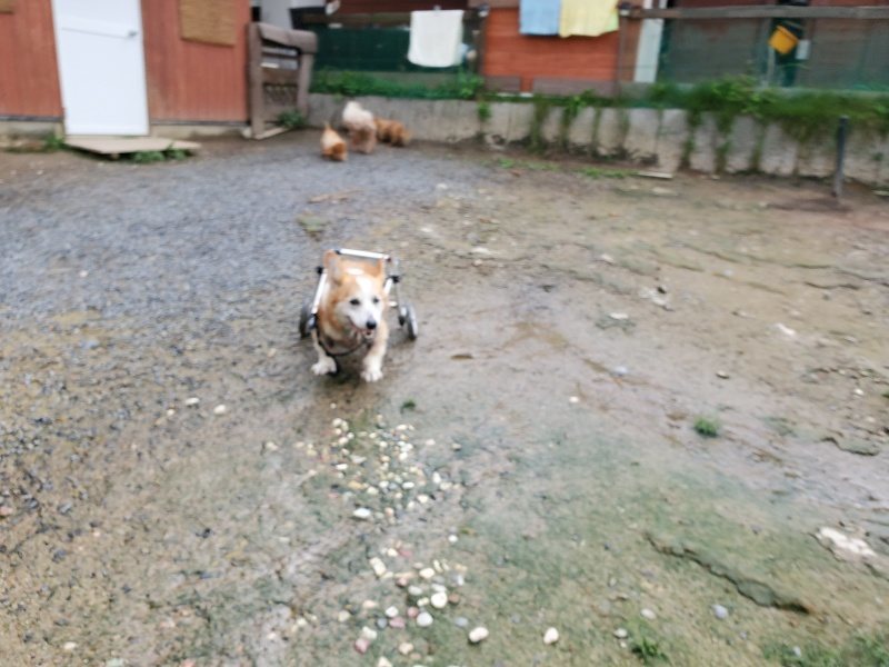 f:id:roukenhome-ann:20190831080505j:plain