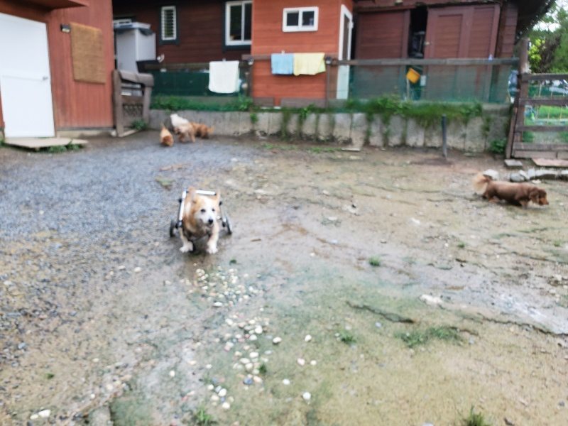 f:id:roukenhome-ann:20190831080512j:plain