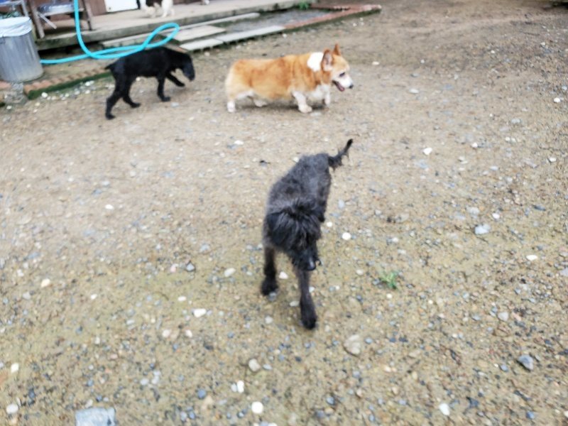 f:id:roukenhome-ann:20190831080530j:plain
