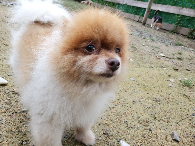 f:id:roukenhome-ann:20190831080537j:plain